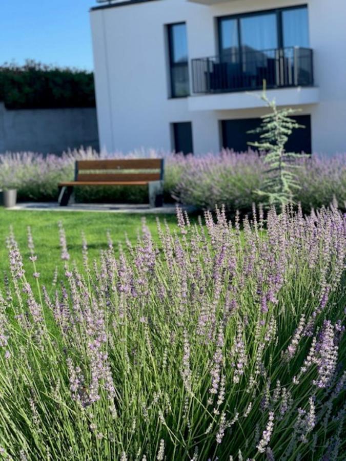 Paskom Apartmanhaz Nyergesujfalu Exteriör bild